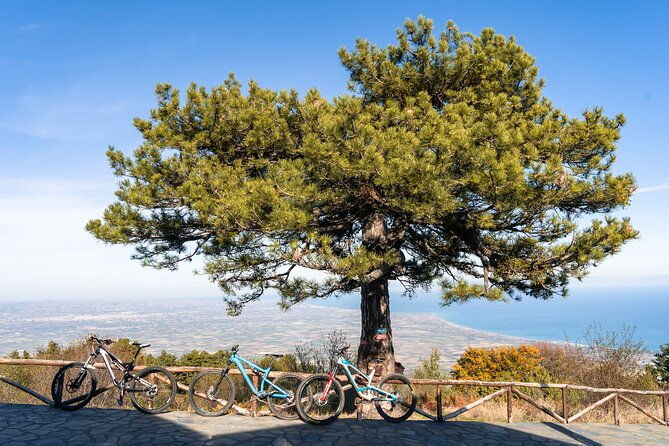 private-guided-e-biking-tour-on-mount-olympus