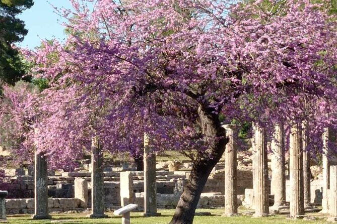 private-guided-tour-of-the-archaeological-site-and-museum-of-olympia