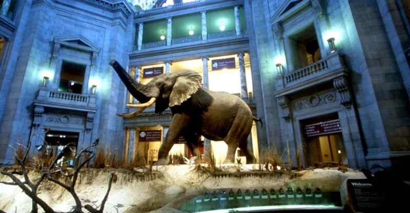 private-guided-tour-of-the-natural-history-museum