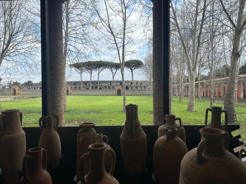 private-guided-tour-to-pompeii-excavations