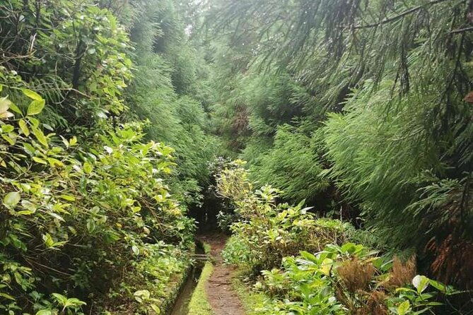 private-hike-along-the-levada