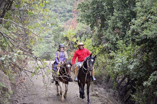 private-horseback-riding-and-wines-from-santiago