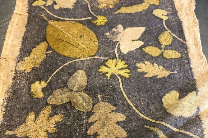 private-introduction-to-plant-color-in-forcalquier-in-provence