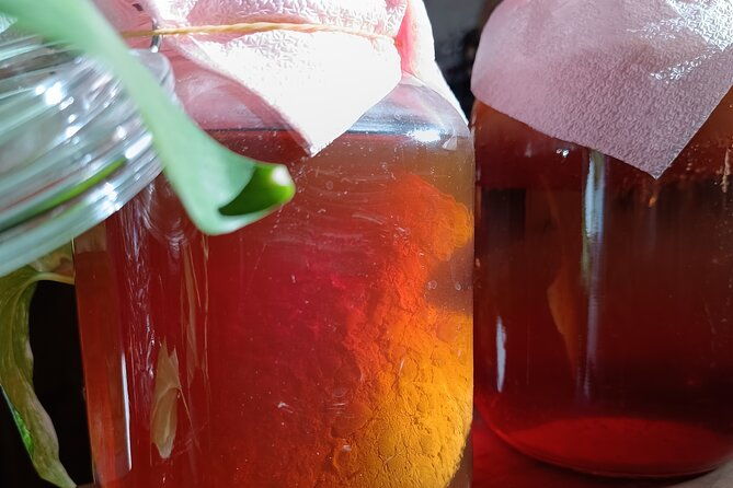 private-kombucha-making-workshop-in-cyprus