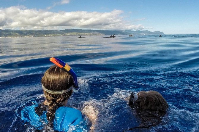 private-marine-wildlife-boat-tour