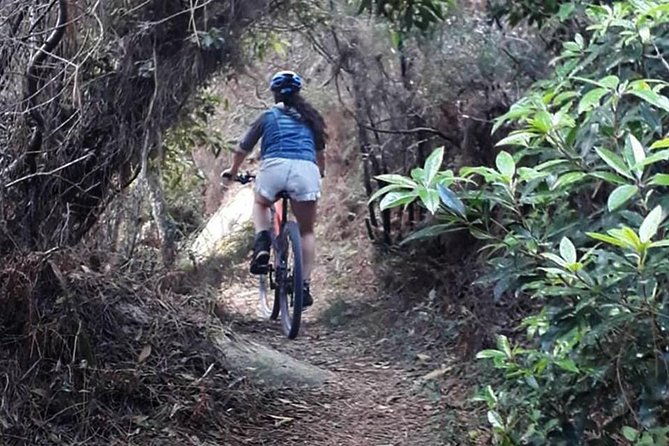 private-mountain-biking-adventure-in-sintra-cascais-park