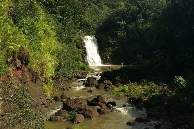 private-north-shore-waterfalls-and-turtles-tour