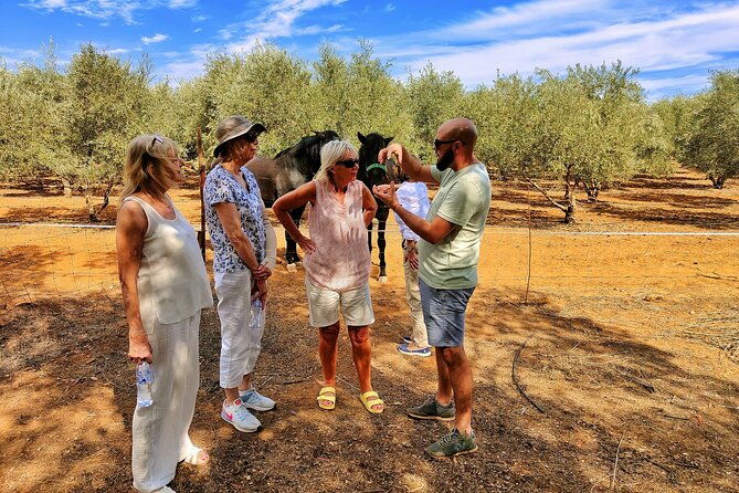 private-paella-master-class-at-olivos-farm