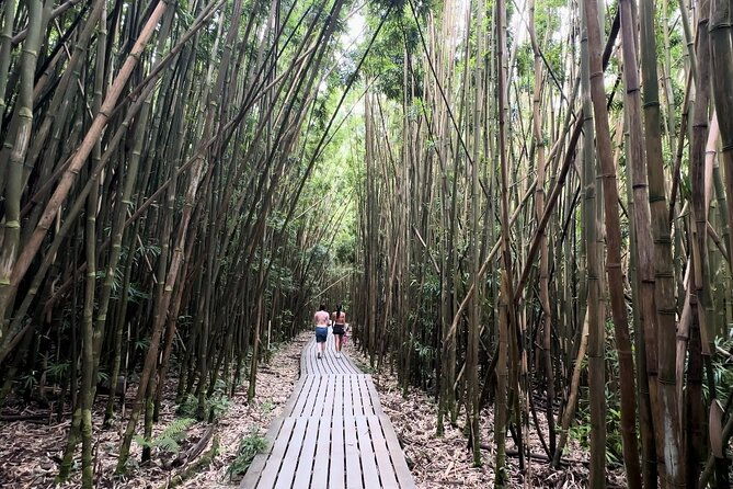 private-pipiwai-trail-maui-open-air-jeep-tour