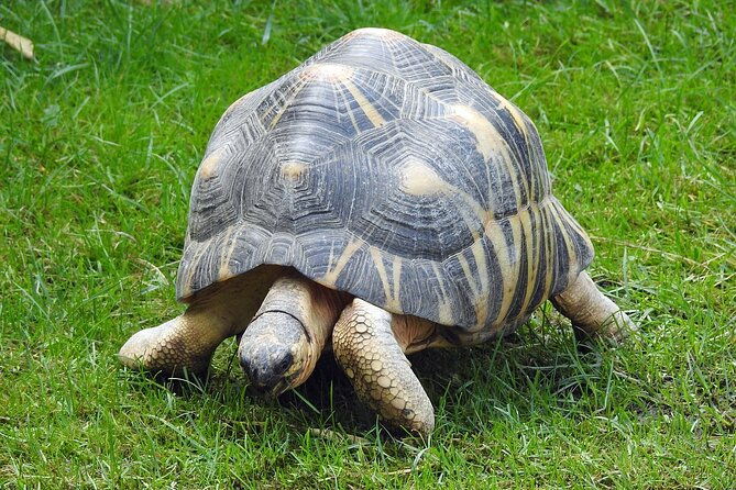 private-reptile-zoo-adventure-tour-with-guide-in-cartagena