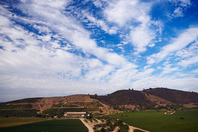 private-san-antonio-port-visit-chocalan-winery-transfer-hotel
