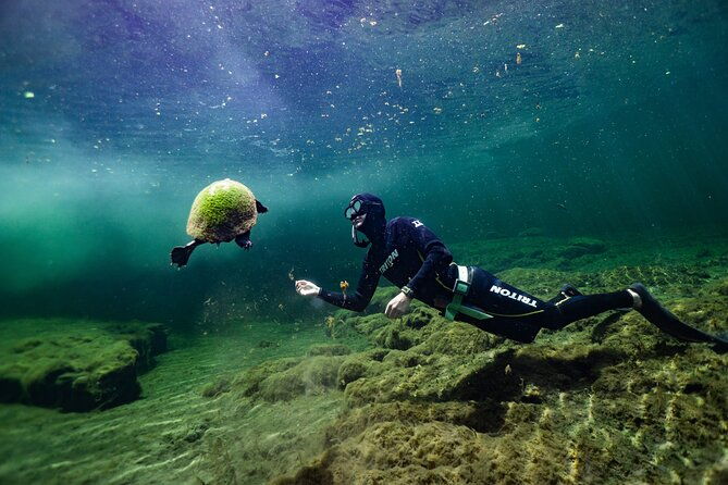 private-snorkeling-expedition-in-the-florida-springs