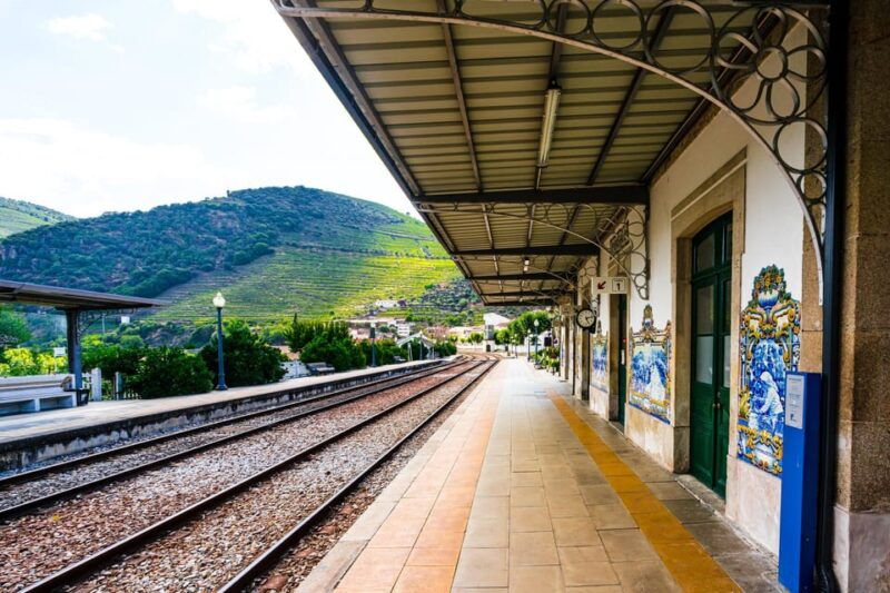 private-sommelier-tour-verde-e-douro-3-wineries-and-lunch
