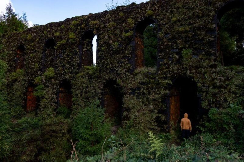 private-tour-all-of-the-west-sete-cidades-volcano-2