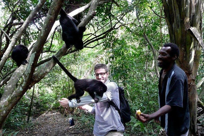 private-tour-altun-ha-cave-tubing-and-baboon-sanctuary-from-belize-city