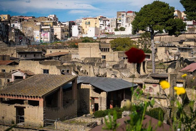 private-tour-in-herculaneum-for-families-from-naples