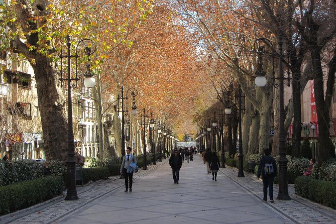 private-tour-of-central-granada-total-per-group-max-15-people