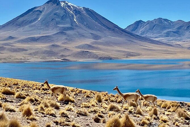private-tour-red-stones-in-san-pedro-de-atacama