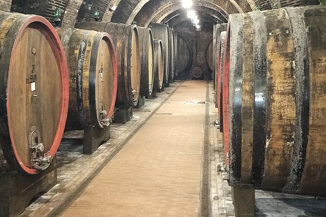 private-tour-savor-exquisite-wines-brunello-nobile-wine-tour