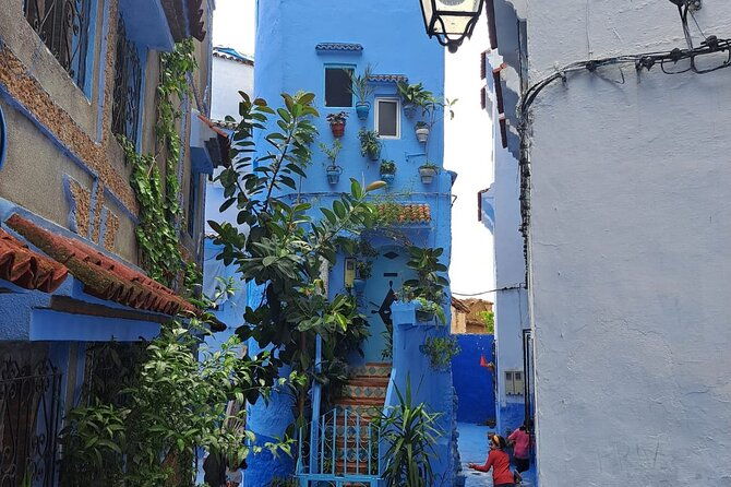 private-tour-tangier-from-malaga-breakfast-and-lunch-included