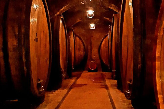 private-transfer-from-assisi-to-florence-with-stops-in-cortona-montepulciano