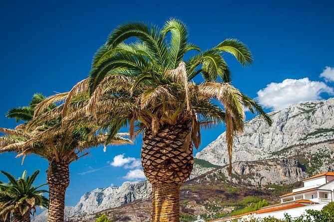 private-transfer-from-makarska-to-dubrovnik-with-2h-sightseeing-local-driver