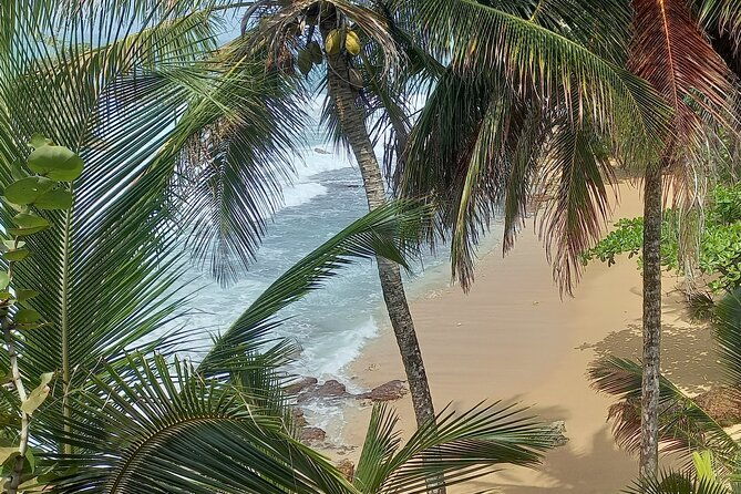 private-transfer-sjo-airport-to-puerto-viejo-and-cahuita-hotels