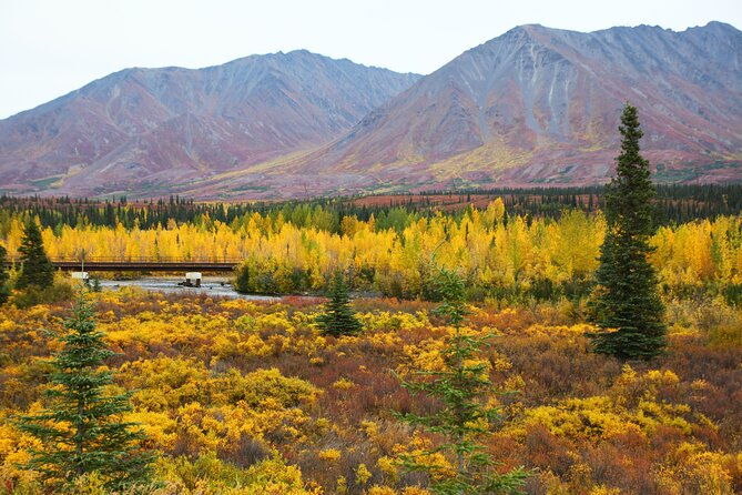 private-transportation-between-fairbanks-and-denali-national-park