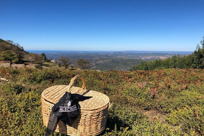 private-typical-portuguese-picnic-in-serra-de-monchique