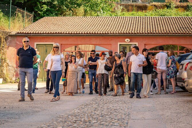 private-visit-to-vineyards-and-cellars-with-tasting-in-pavia