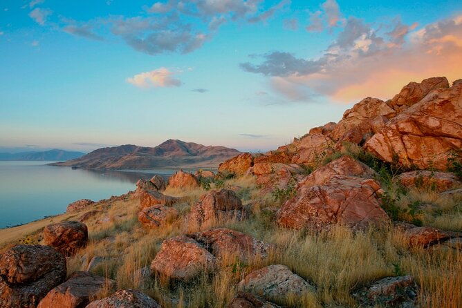 private-wildlife-and-scenic-tour-on-antelope-island