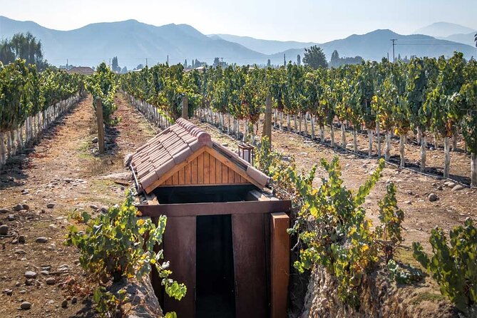 private-winery-undurraga-from-santiago