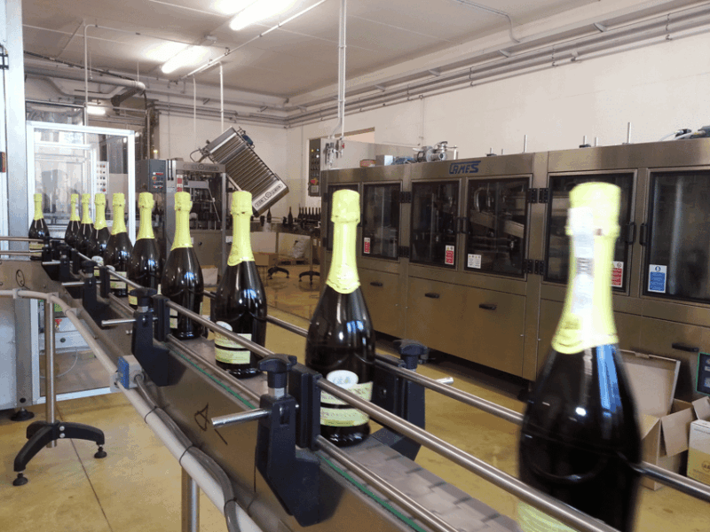 prosecco-tasting-in-countryside-winery