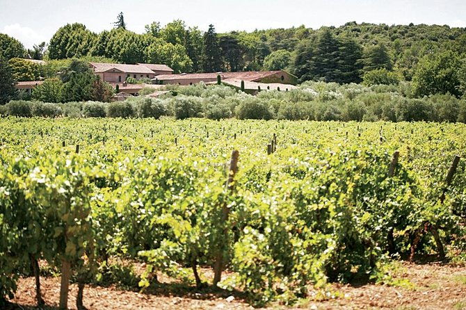 provence-wine-tasting