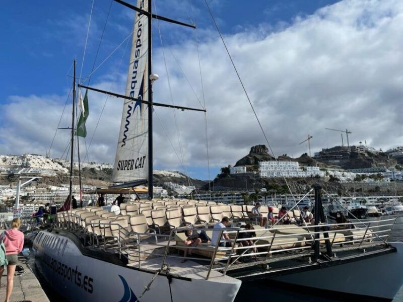 puerto-rico-2-hour-dolphin-catamaran-excursion
