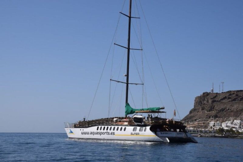 puerto-rico-de-gran-canaria-premium-dolphin-catamaran-tour