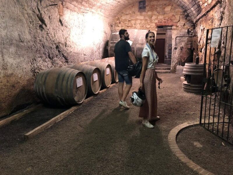quad-e-bike-monferrato-hills-unesco-winery-tour