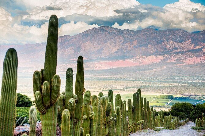 quebrada-de-las-conchas-hiking-from-cafayate