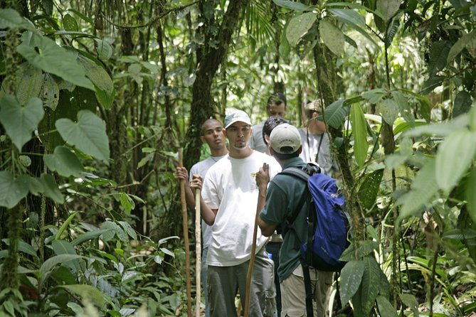 rain-forest-aerial-tram-private-tour-from-san-jose