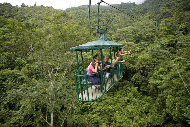 rainforest-aerial-tram