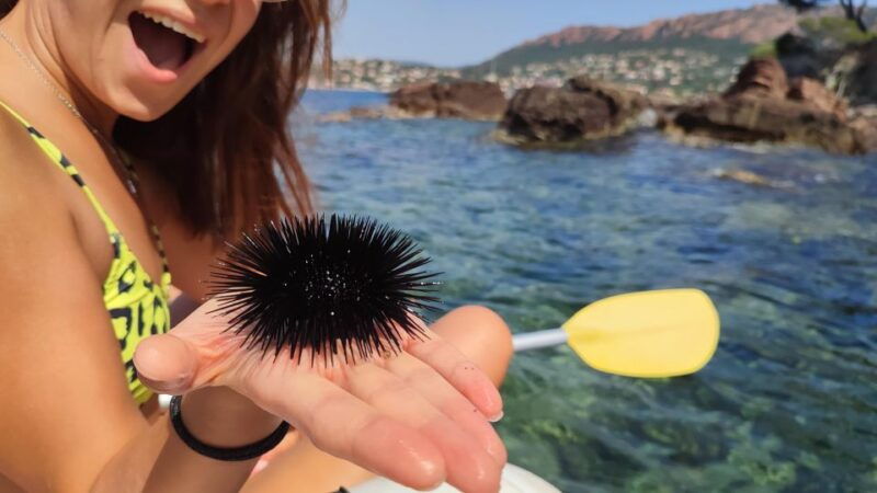 rando-kayak-agay-guided-visit