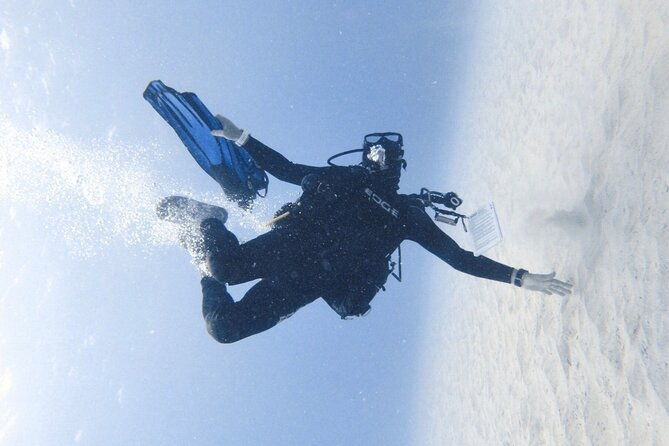 refresher-scuba-dive