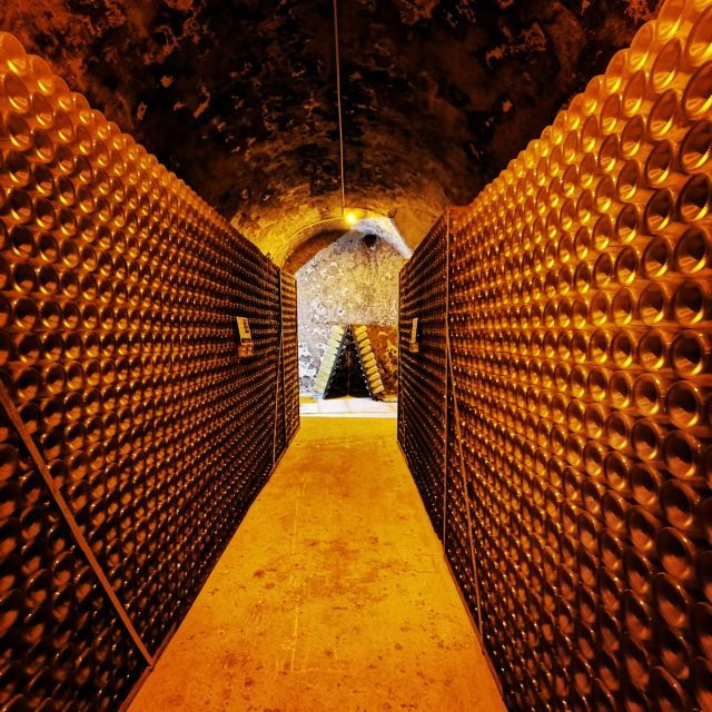 reims-epernay-private-moet-chandon-winery-tour-tastings