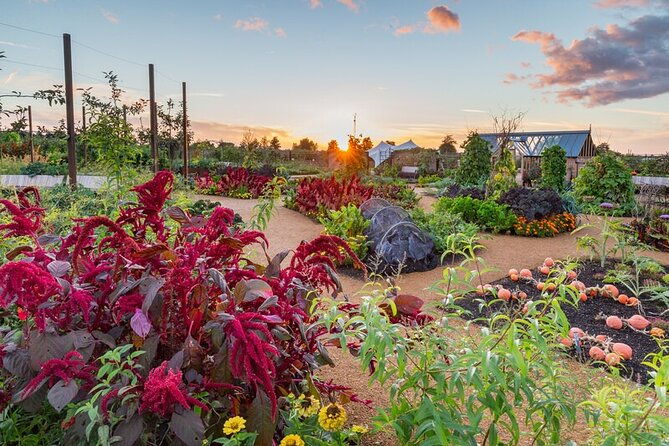rhs-garden-wisley-and-tea-in-the-garden-entry-ticket