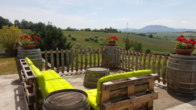 rimini-san-valentino-vineyards-tour-with-doc-wine-tastings