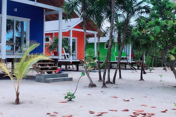 roatan-best-nature-life