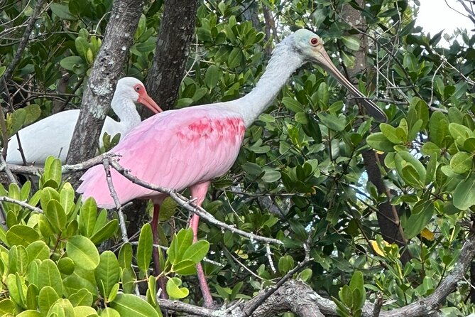 robinson-preserve-nature-walk-eco-tour