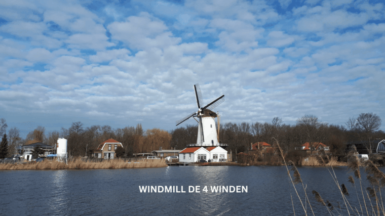 rotterdam-countryside-on-the-wheels-bike-tour-around-city