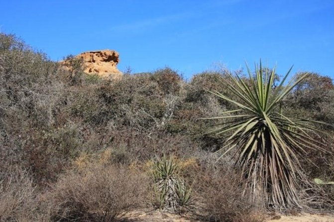 runyon-canyon-hiking-tour