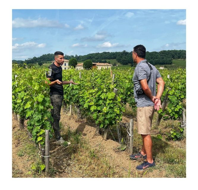 saint-emilion-vineyard-walking-tour-and-tasting